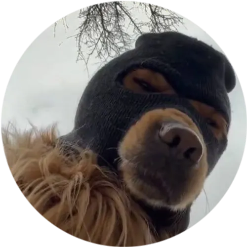 SKI holders community dog