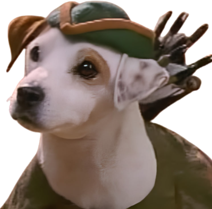 Green dog for WISHBONE holder campaign